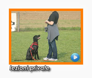 lezioni private bestfriend